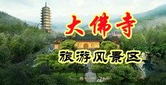 插逼網站中国浙江-新昌大佛寺旅游风景区